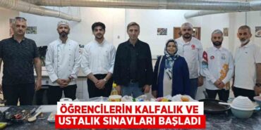 29533235462922129404tasarimli