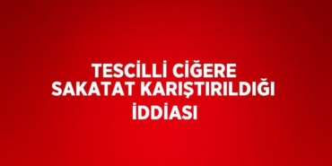 29535269092123629878tasarimli