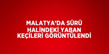 29537222873141927069tasarimli