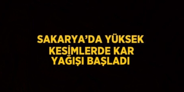29538249802382523805tasarimli