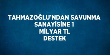 29539274613136624654tasarimli