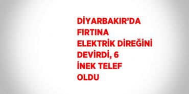 29542205072017622438