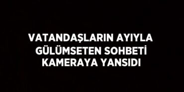 29543203852057130763tasarimli