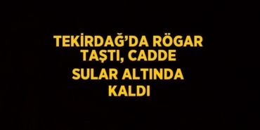 29547311362694431691tasarimli