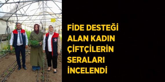 FİDE DESTEĞİ ALAN KADIN ÇİFTÇİLERİN SERALARI İNCELENDİ