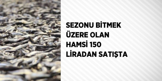 SEZONU BİTMEK ÜZERE OLAN HAMSİ 150 LİRADAN SATIŞTA