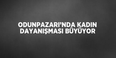 29552226542686820810tasarimli