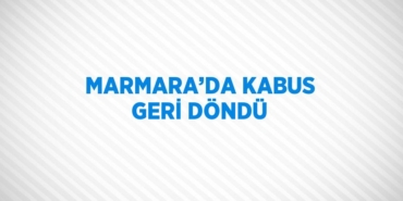 29552256572013128032tasarimli