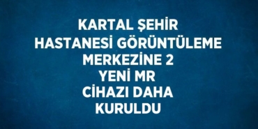 29554319612971525172tasarimli