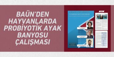 29556216282010625850