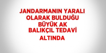 29556225812912622862tasarimli