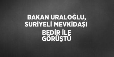 29556281472148924915tasarimli