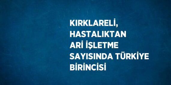 KIRKLARELİ, HASTALIKTAN ARİ İŞLETME SAYISINDA TÜRKİYE BİRİNCİSİ