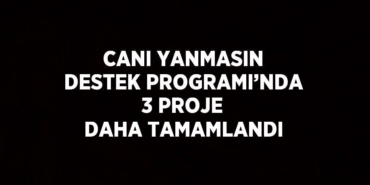 29561251532865622305tasarimli