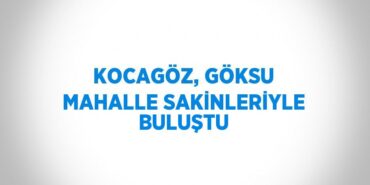 29561297322165730021tasarimli