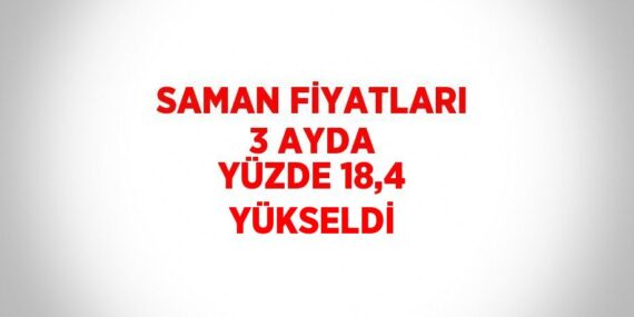 SAMAN FİYATLARI 3 AYDA YÜZDE 18,4 YÜKSELDİ