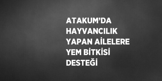 ATAKUM’DA HAYVANCILIK YAPAN AİLELERE YEM BİTKİSİ DESTEĞİ