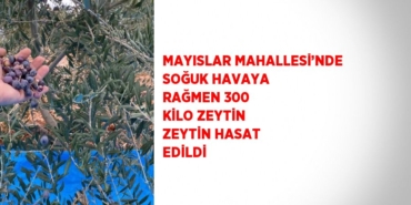 29573225543105826167