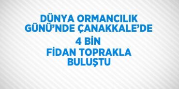 29579316462989131513tasarimli