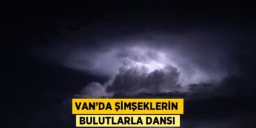 29585240582671929028tasarimli