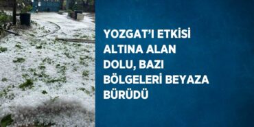 29585263632761720664