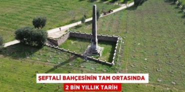 29592258403102422335tasarimli
