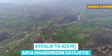 29599305732384727562tasarimli