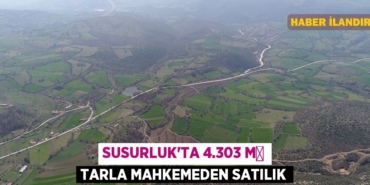 29606298072575628641tasarimli