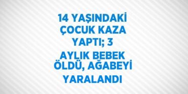 29622262132666229100tasarimli