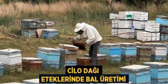 CİLO DAĞI ETEKLERİNDE BAL ÜRETİMİ