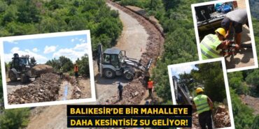 29625268393160022481tasarimli