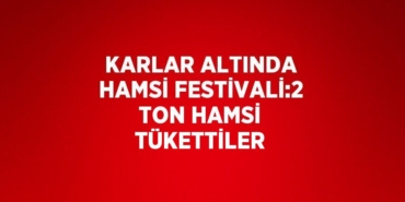 29627247422282420630tasarimli