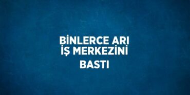 29628213492608921677tasarimli