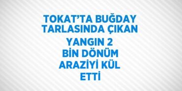 29629273592831121850tasarimli