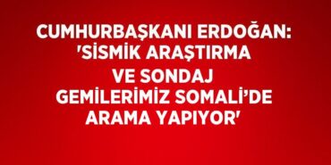 29630283792573631134tasarimli