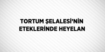 29630318512976423157tasarimli