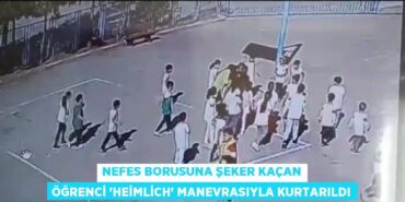 29631203453137130565tasarimli
