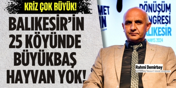 Kriz çok büyük! BALIKESİR’İN 25 KÖYÜNDE  BÜYÜKBAŞ HAYVAN YOK!