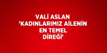 29638271052196825295tasarimli