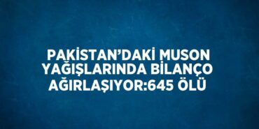 29644281612433521887tasarimli