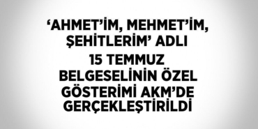 29645205732797724267tasarimli