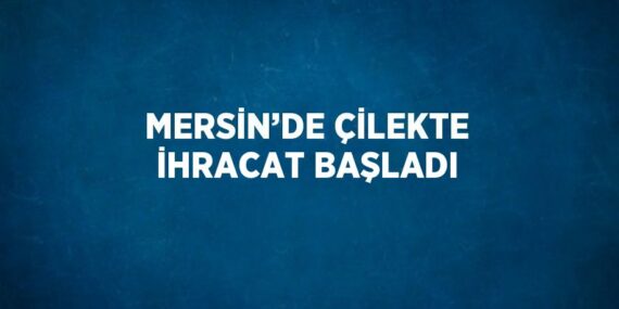 MERSİN’DE ÇİLEKTE İHRACAT BAŞLADI