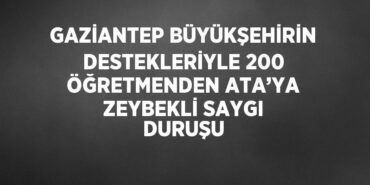 29661226813098322244tasarimli