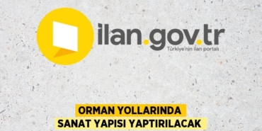 29662303403083525782tasarimli