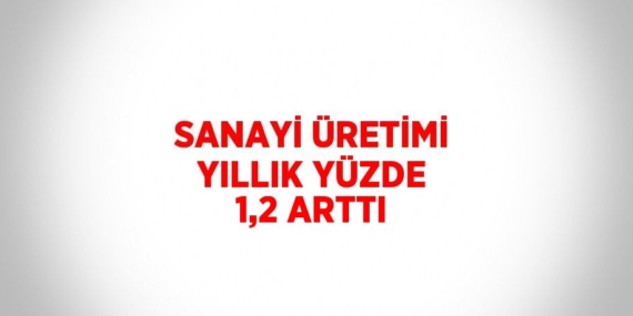 SANAYİ ÜRETİMİ YILLIK YÜZDE 1,2 ARTTI