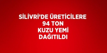 29668250492425827494tasarimli