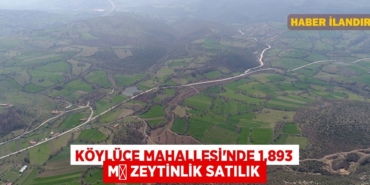 29676200572893420430tasarimli