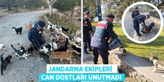 JANDARMA EKİPLERİ  CAN DOSTLARI UNUTMADI