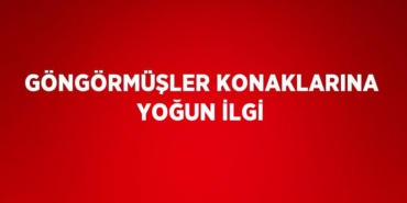 29684217632026223902tasarimli