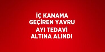 29688293573100524275tasarimli